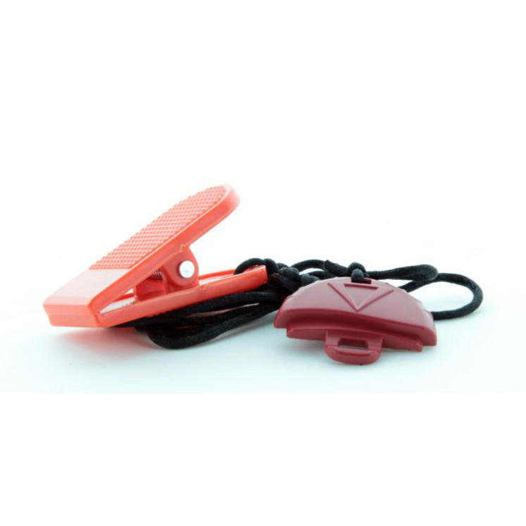 Safety key with clip